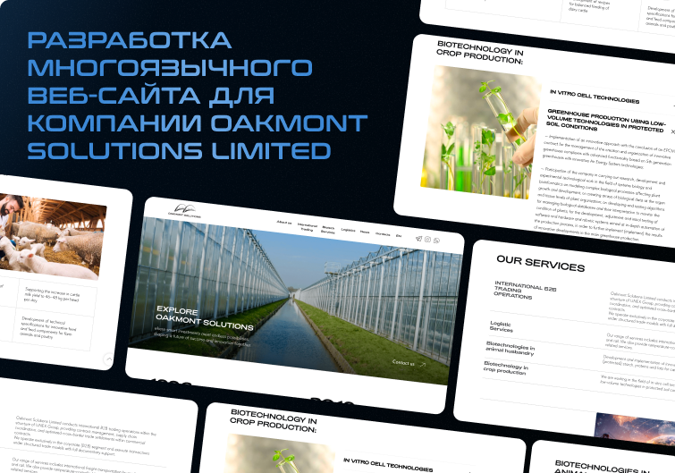 Кейс Explore Oakmont Solutions: мультиязычный сайт для выхода на азиатский рынок