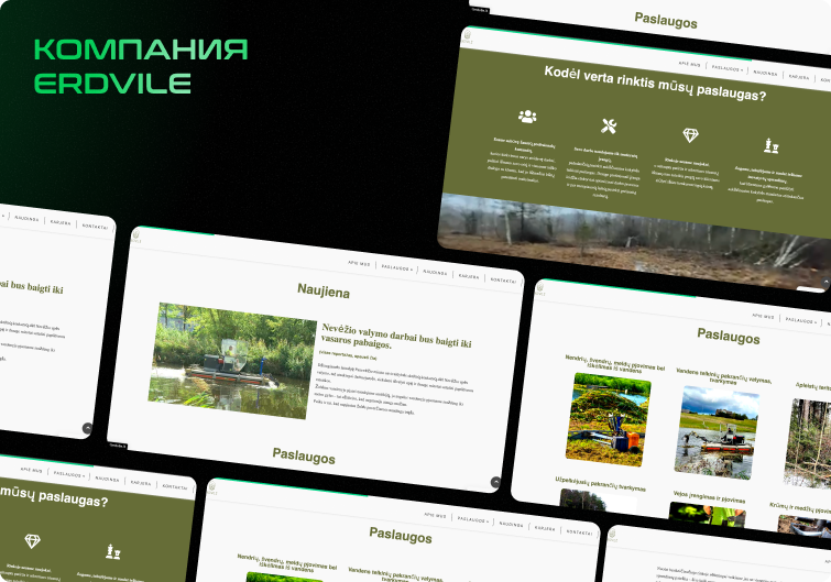 Кейс ERDVILE: мультиязычный сайт для масштабирования бизнеса