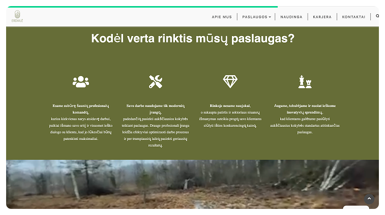Кейс Компания ERDVILE : скриншот сайта, экран 5 из 10