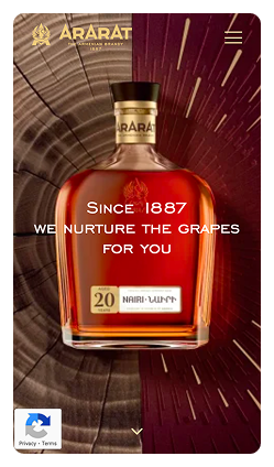 Кейс Ararat Brandy: скриншот сайта, экран 2 из 8