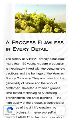 Кейс Ararat Brandy: скриншот сайта, экран 6 из 8