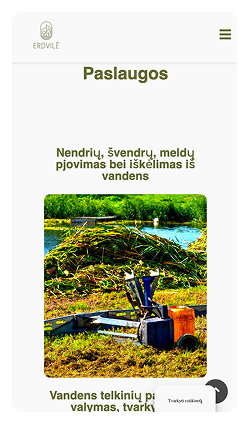 Кейс Компания ERDVILE : скриншот сайта, экран 3 из 10