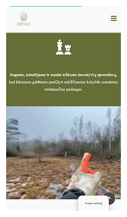 Кейс Компания ERDVILE : скриншот сайта, экран 7 из 10